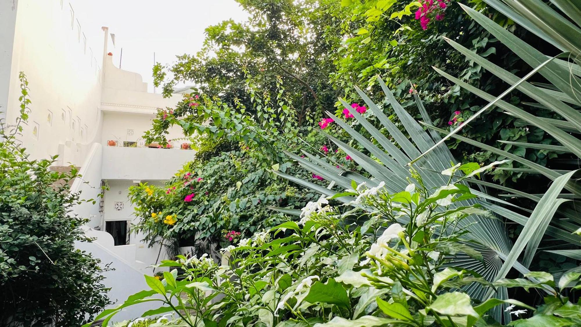 Mosaics Guest House ชัยปุระ ภายนอก รูปภาพ