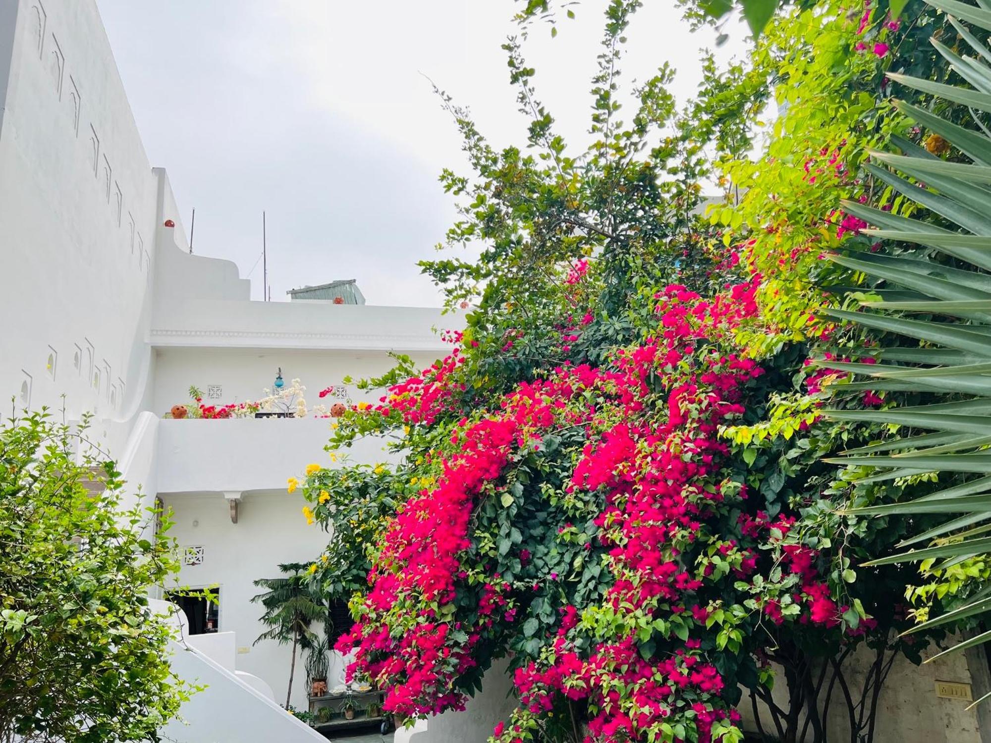 Mosaics Guest House ชัยปุระ ภายนอก รูปภาพ