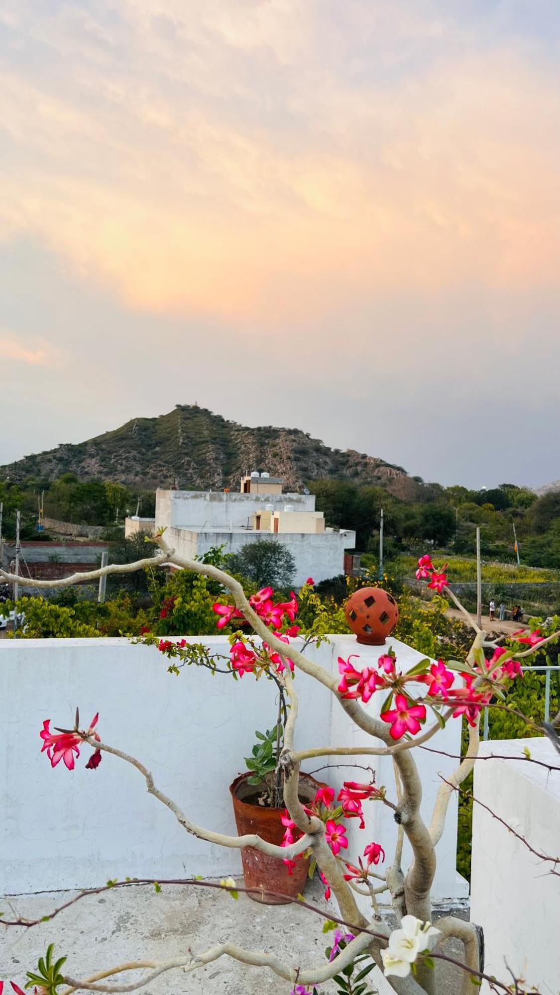 Mosaics Guest House ชัยปุระ ภายนอก รูปภาพ