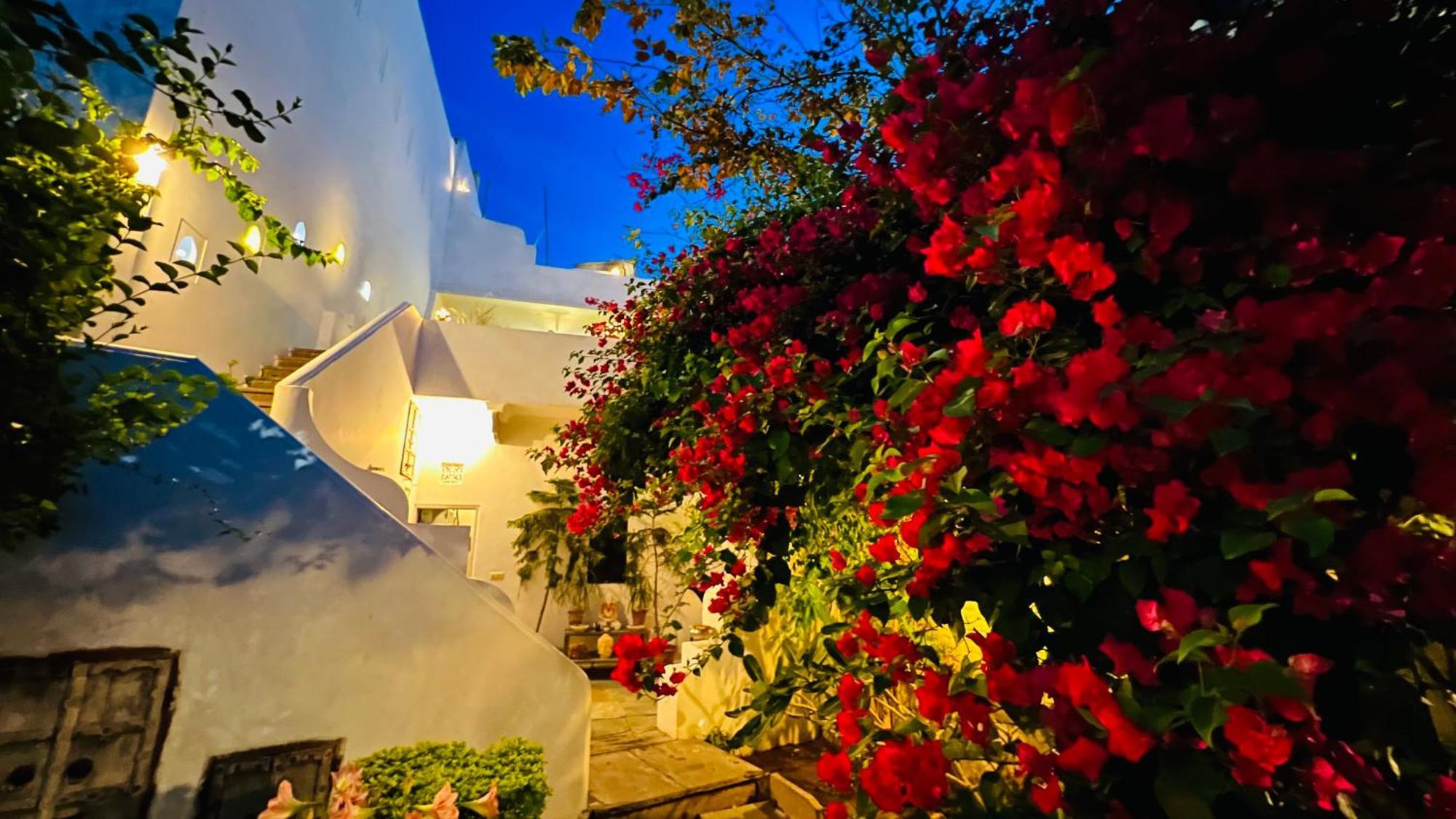 Mosaics Guest House ชัยปุระ ภายนอก รูปภาพ